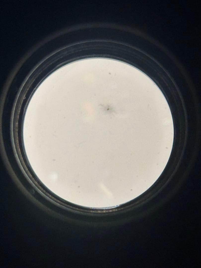 SIGMA 100-300mm F4 APO EFマウント