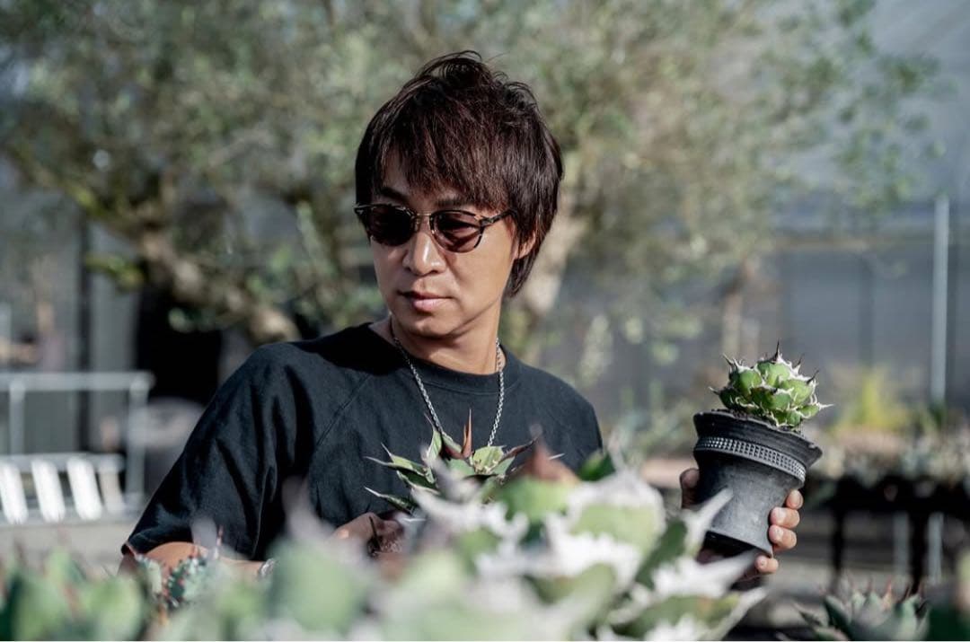 【激レア】spicygem × cj plants コラボ 陶器鉢