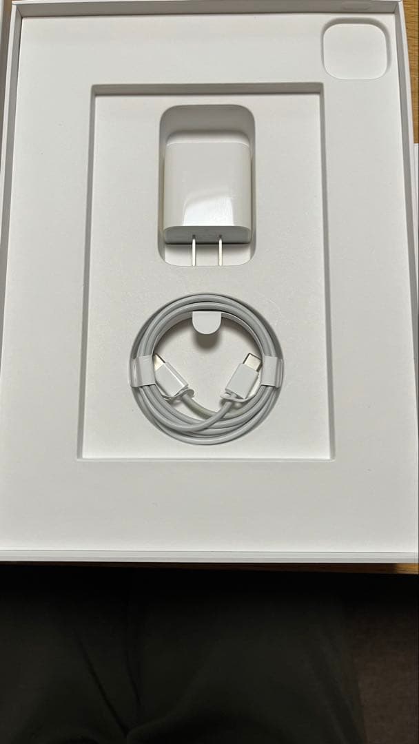 iPad Pro11インチ128GB（第2世代）cellular Pencil付