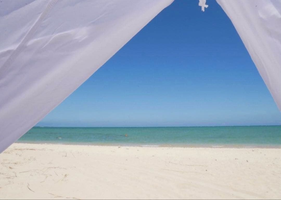 【最終値下げ】USED 廃盤 DOD ビーティピ　ワンポール　テント