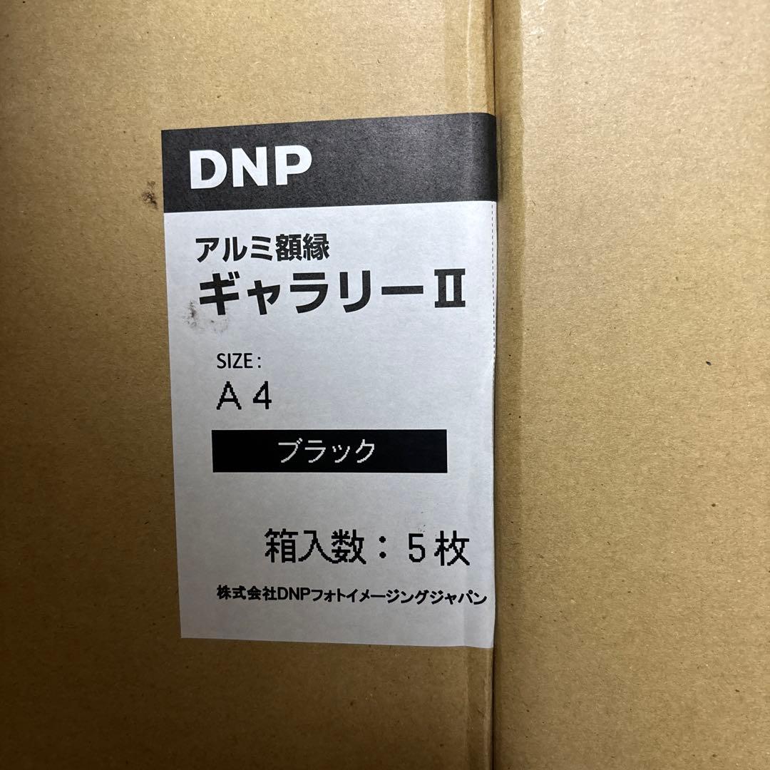 写真用額縁  DNP ギャラリーⅡ A4 ブラック　5枚セット1