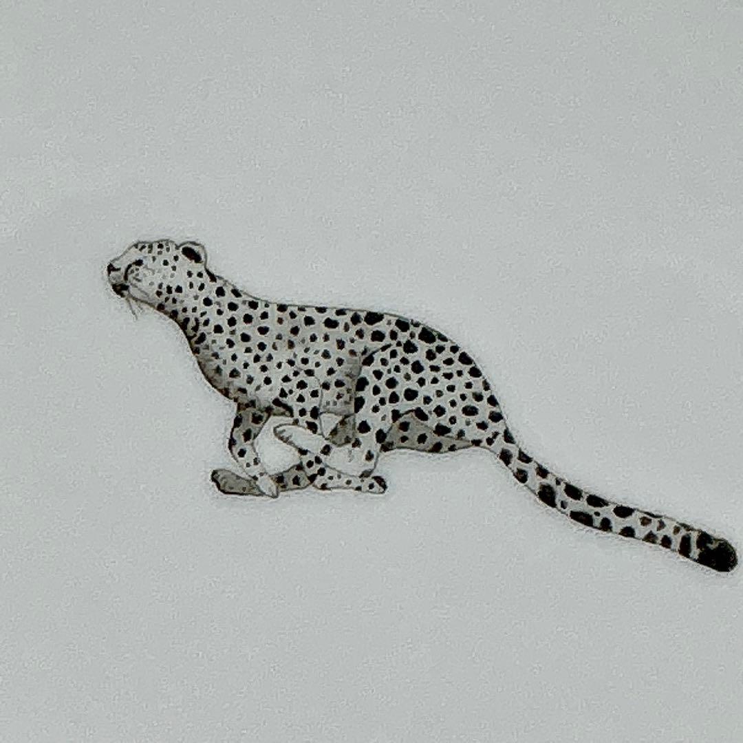 kssk2019　エルメス　アフリカ27センチプレート 1枚