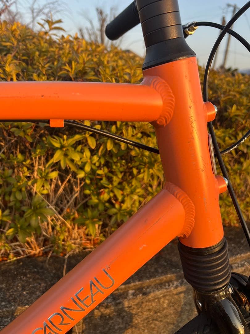 【長野県での直接お渡し限定】LOUIS GARNEAU シングルギア