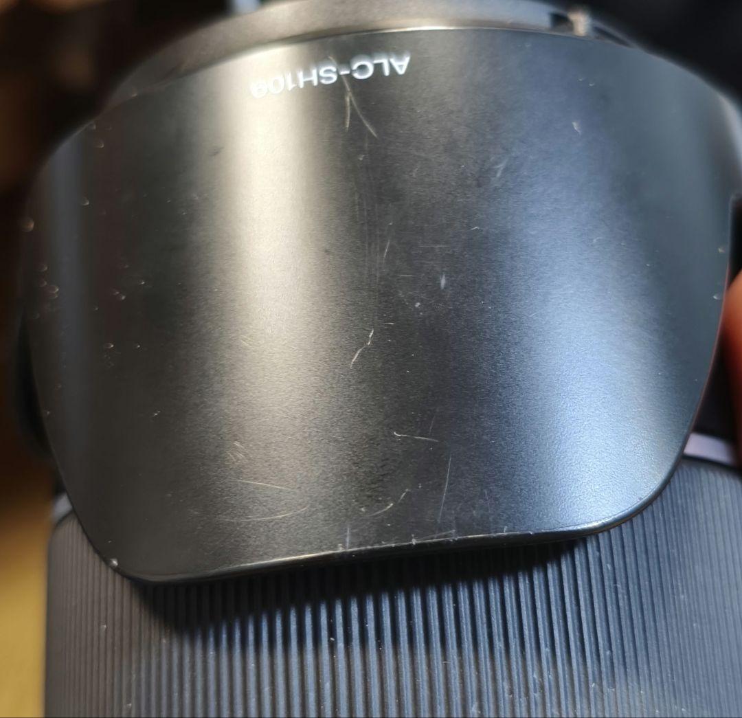 SONY SAL2875 f2.8　大三元ズーム