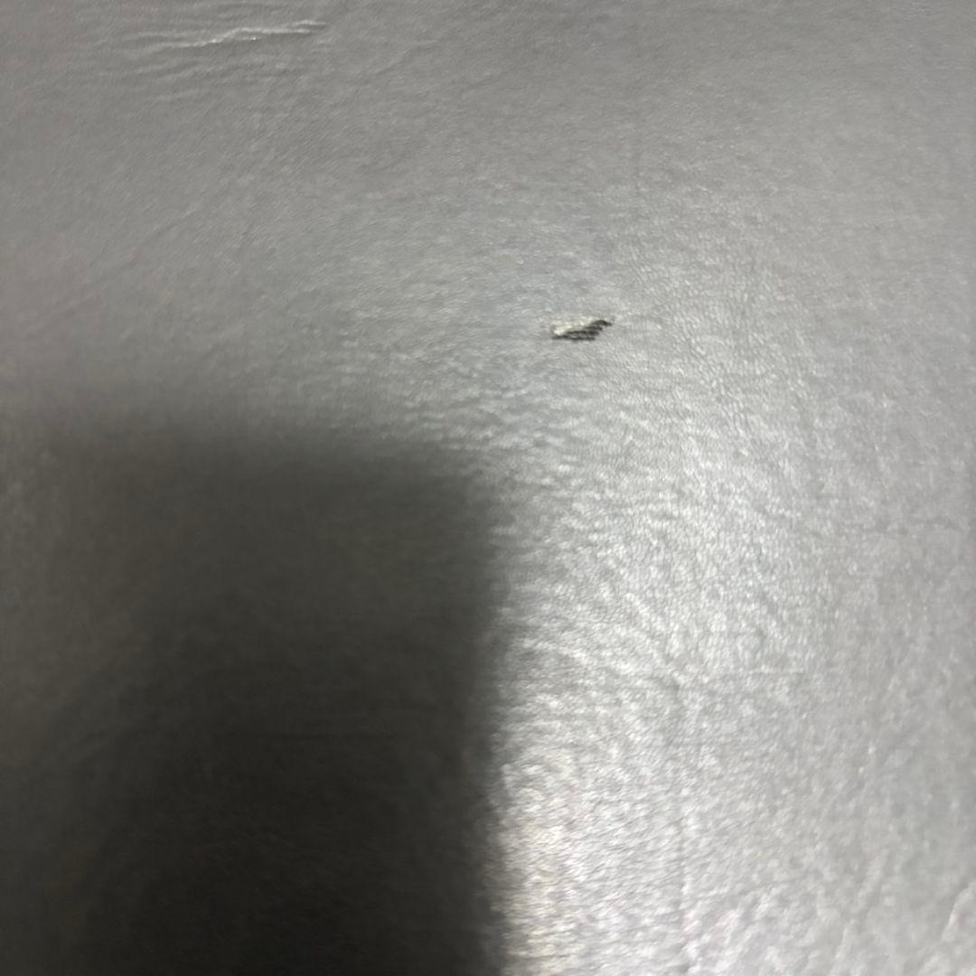 Callaway キャロウェイ REVA キャディバッグ ゴルフ キルティング