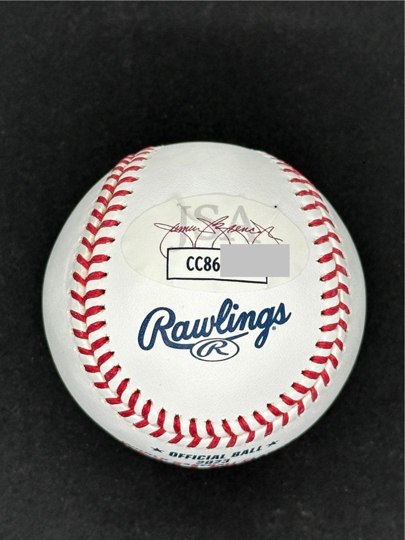 大谷選手直筆サイン入りWORLD BASEBALL 2023ボール