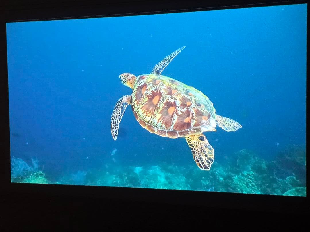 「XGIMI HALO+ モバイルプロジェクター」 スタンドも無料セット可能