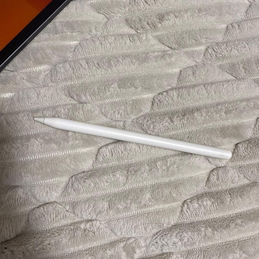 【美品】iPad Pro 4世代 12.9インチ 1TBストレージ ペン付き