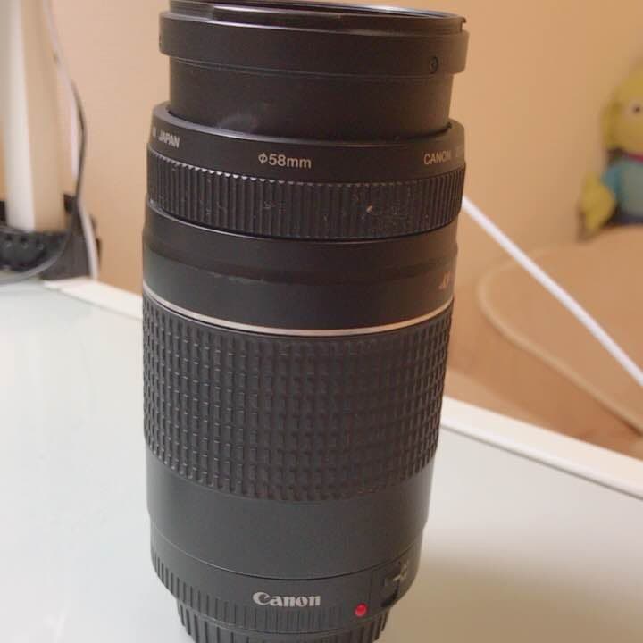 一眼レフカメラ Canon