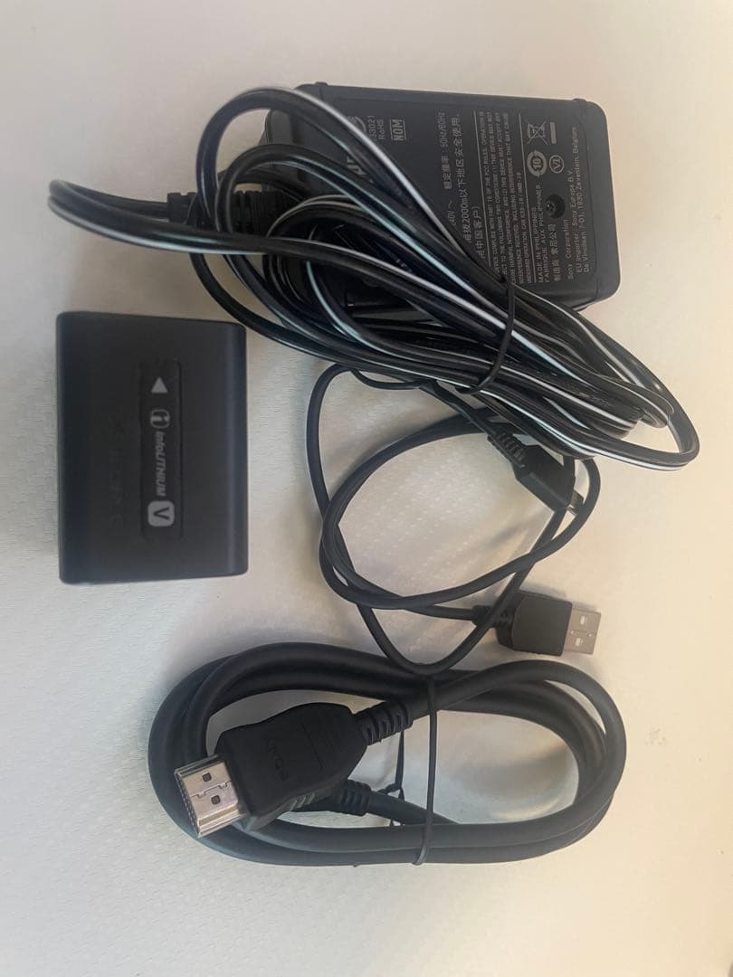 SONY ハンディカメラ FDR-AX45