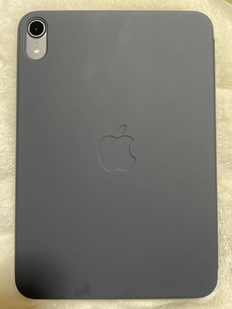 iPad mini (A17 Pro) 256GB Wi-Fi 本体