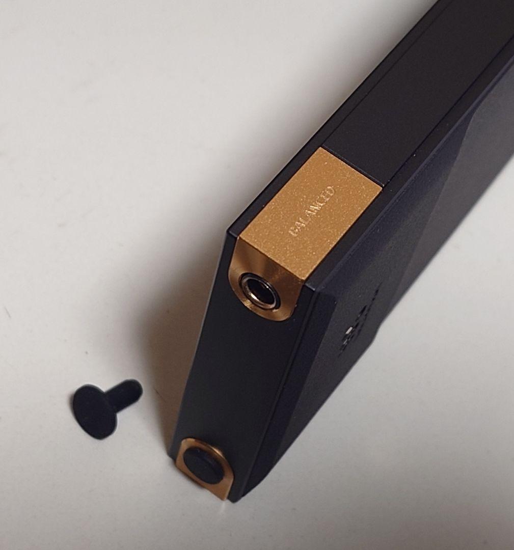 SONY NW-ZX707 WALKMAN 専用純正ケースセット