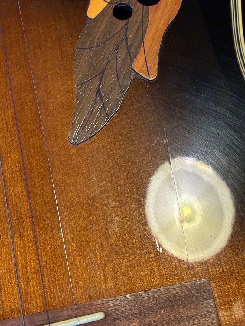 0628 Ovation Celebrity Delux CC257 エレアコ