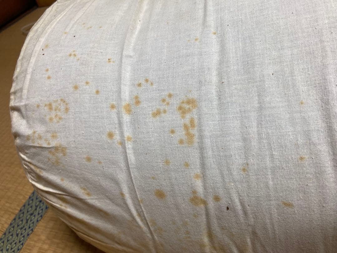 THE NORTH FACE 寝袋 黒/紫　極寒地可能　スリーピングバッグ