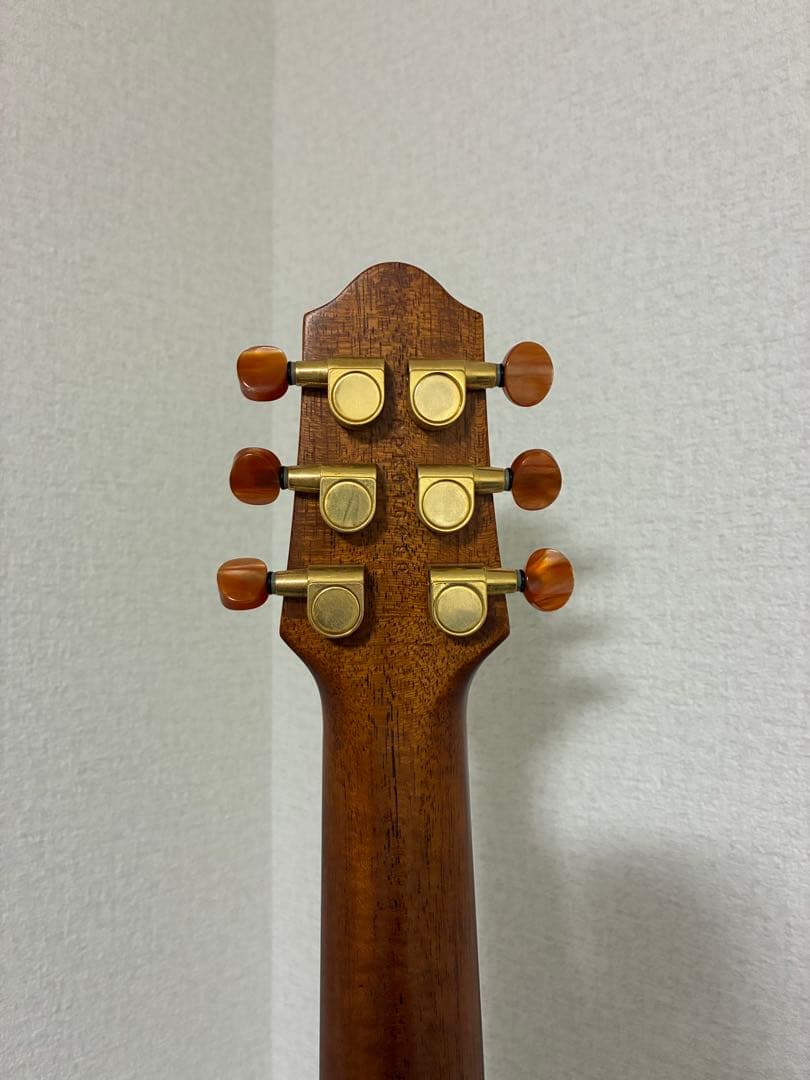 ギター YAMAHA SLG-100s
