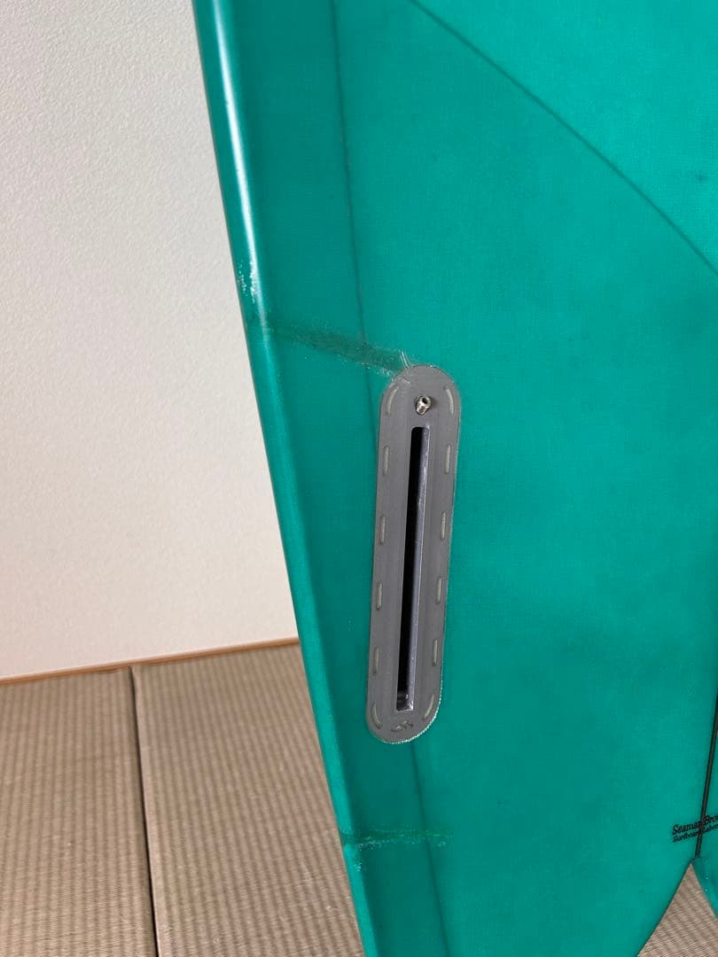 アルメリック　Ci fish