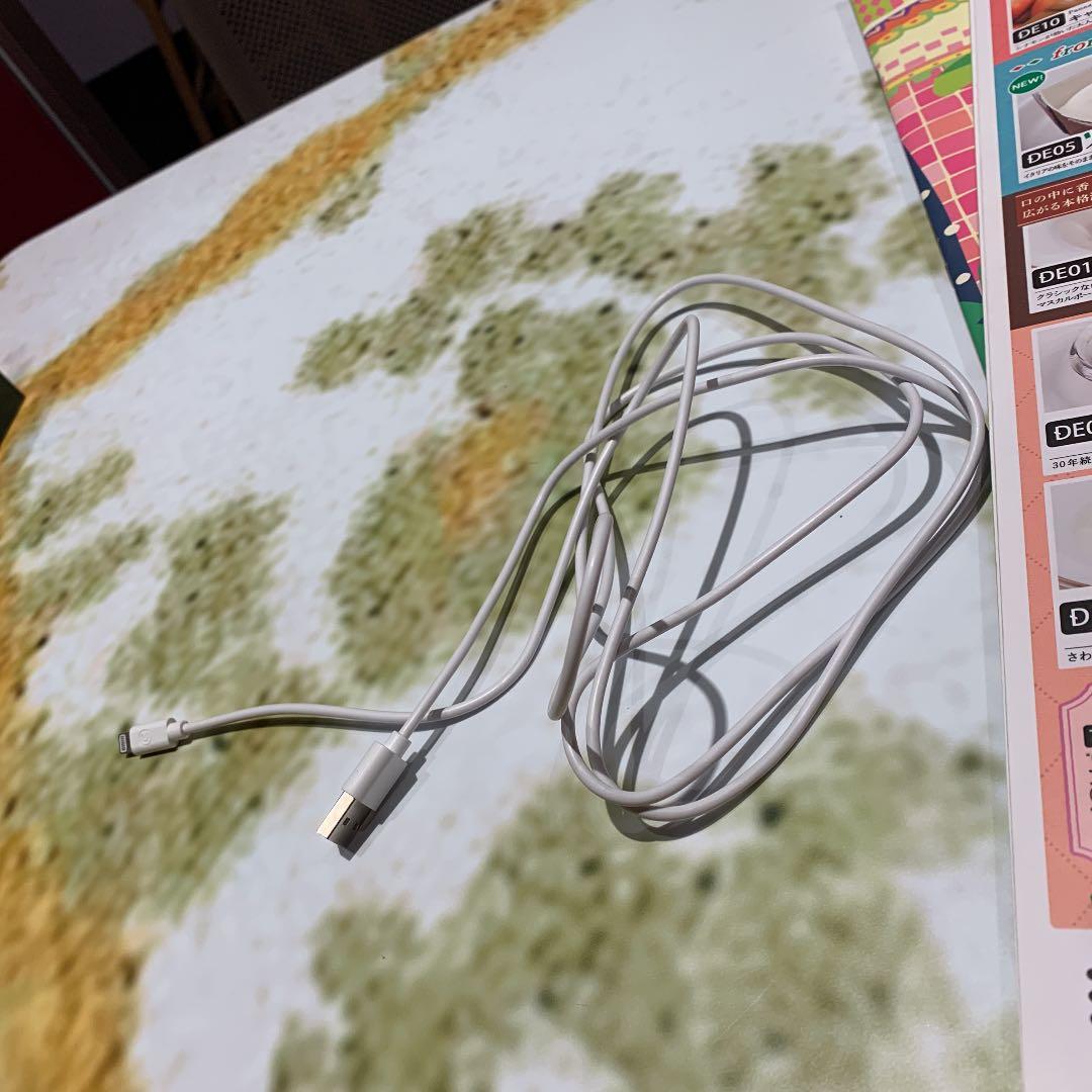 iPhone高速充電器