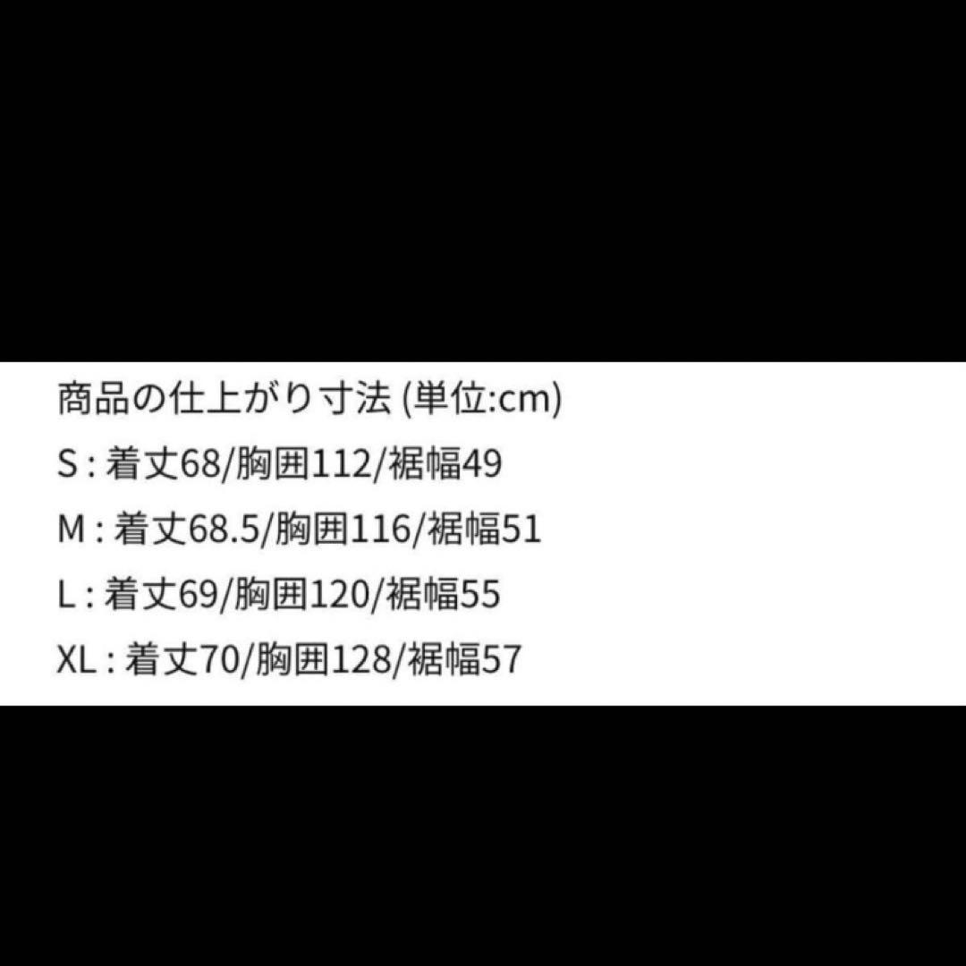 新品 NIKE ACG ARCTIC WOLF VEST フリースベスト L