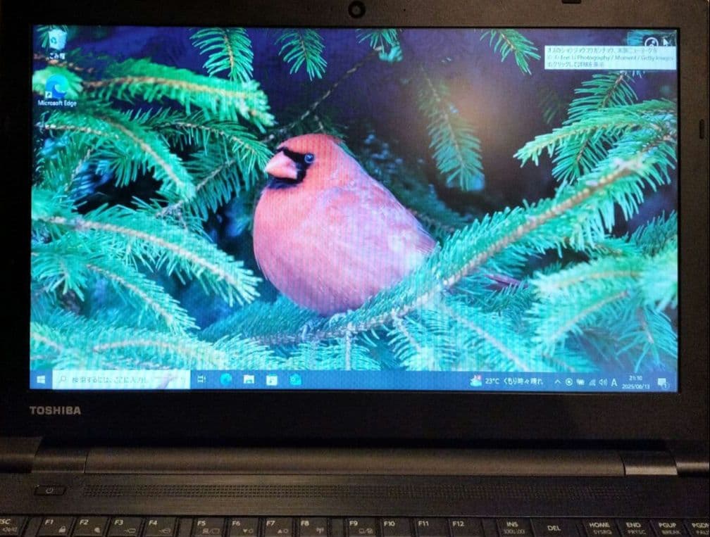 【えみちゃん専用】東芝dynabook B65/H SSD搭載