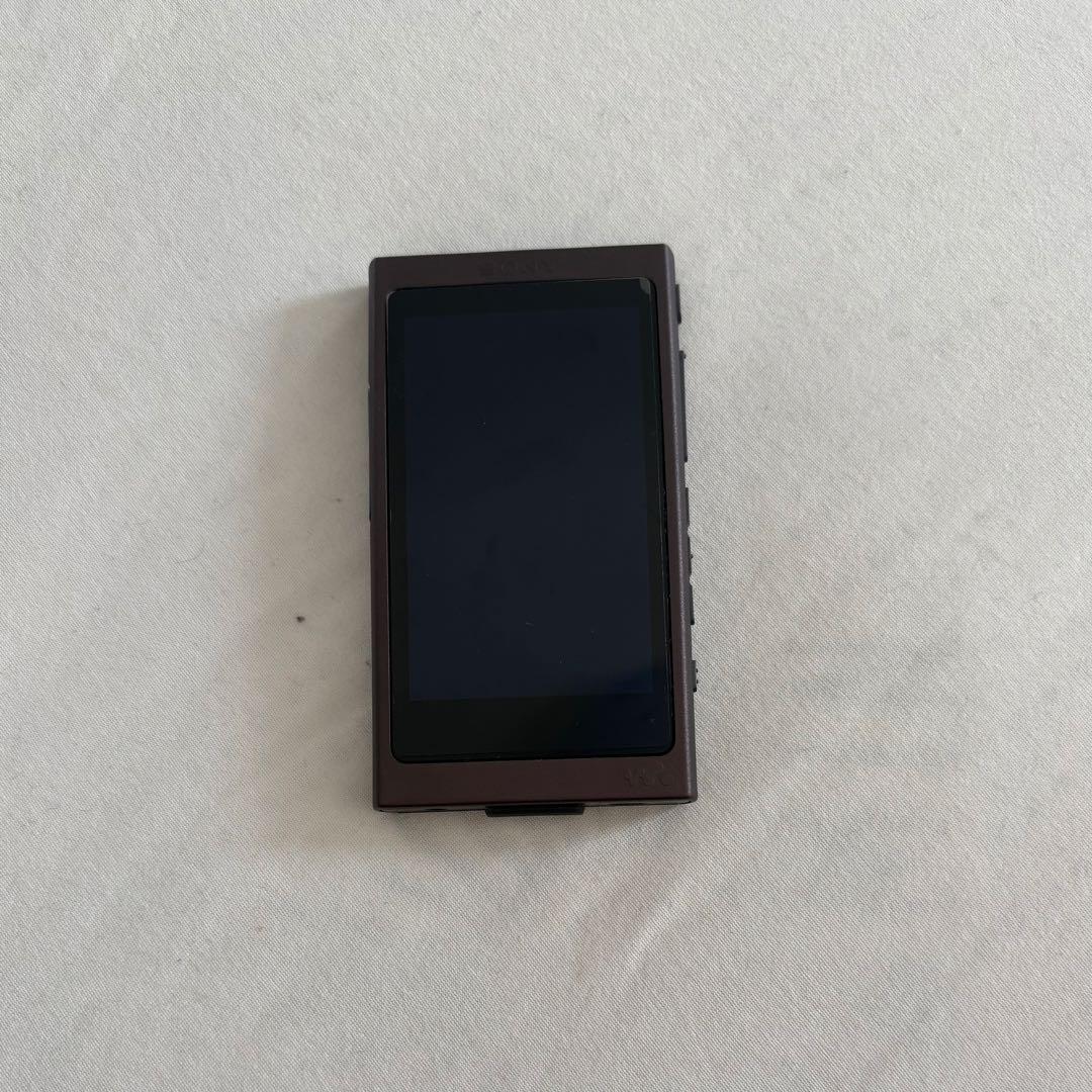 【動作確認済】SONY ウォークマン NW-A45 16GB SDカード内蔵