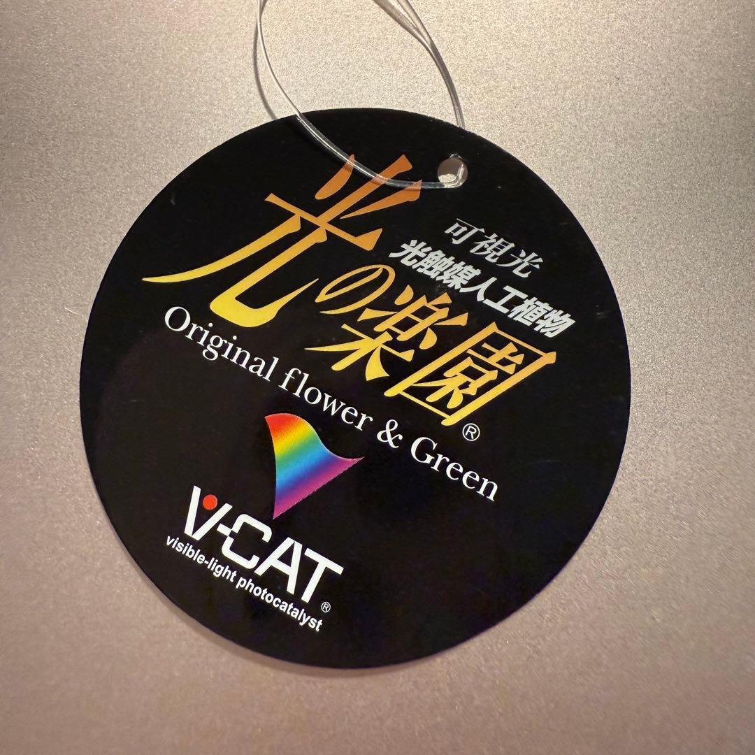 ウンベラータ　人工観葉植物 ホワイトポット