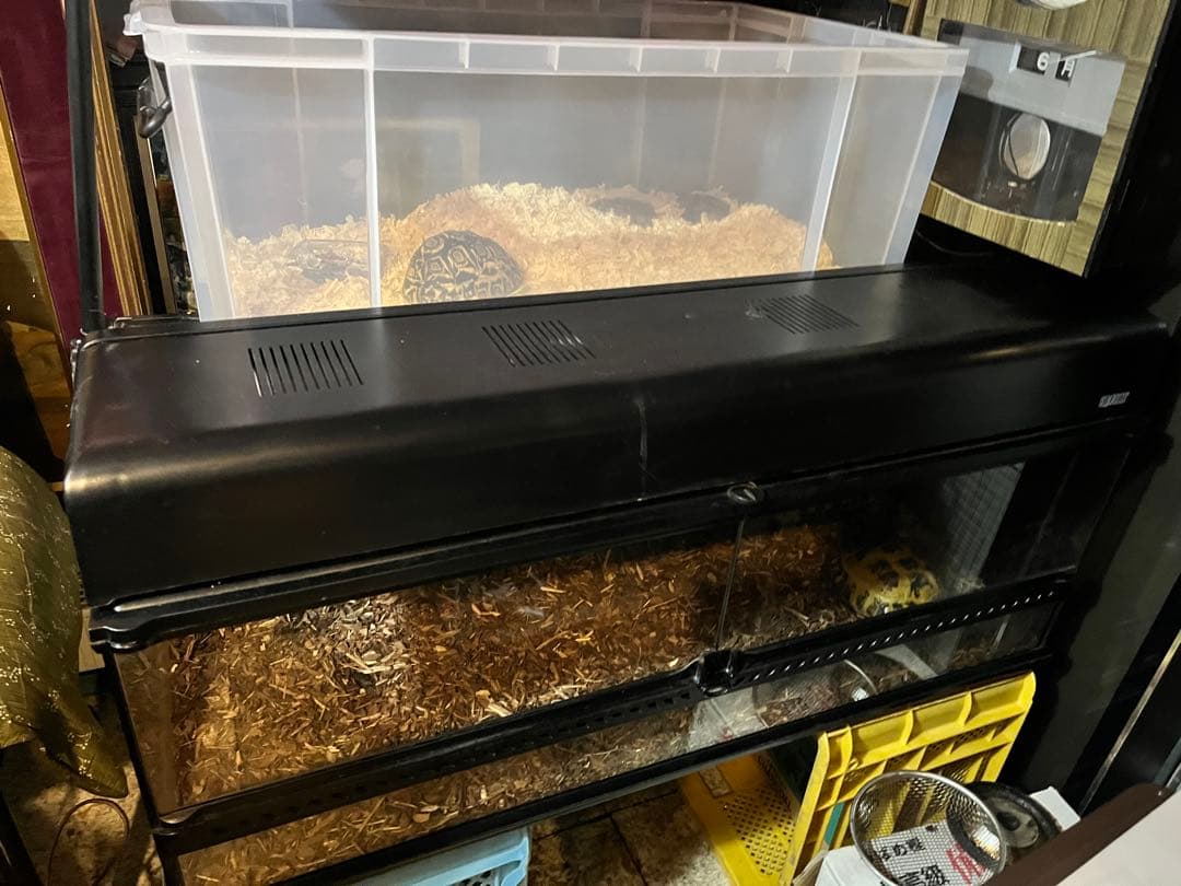 みじたく 爬虫類ゲージ、グラステラリウムGEXエキゾテラグラステラリウム