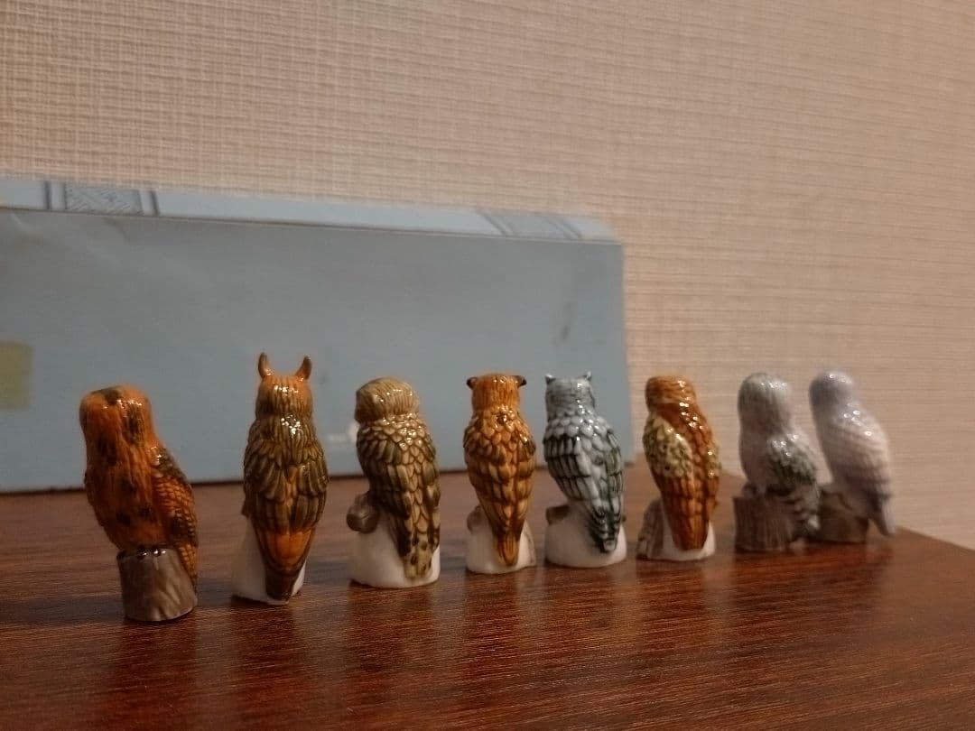 フェーブ　フクロウ　８こセット