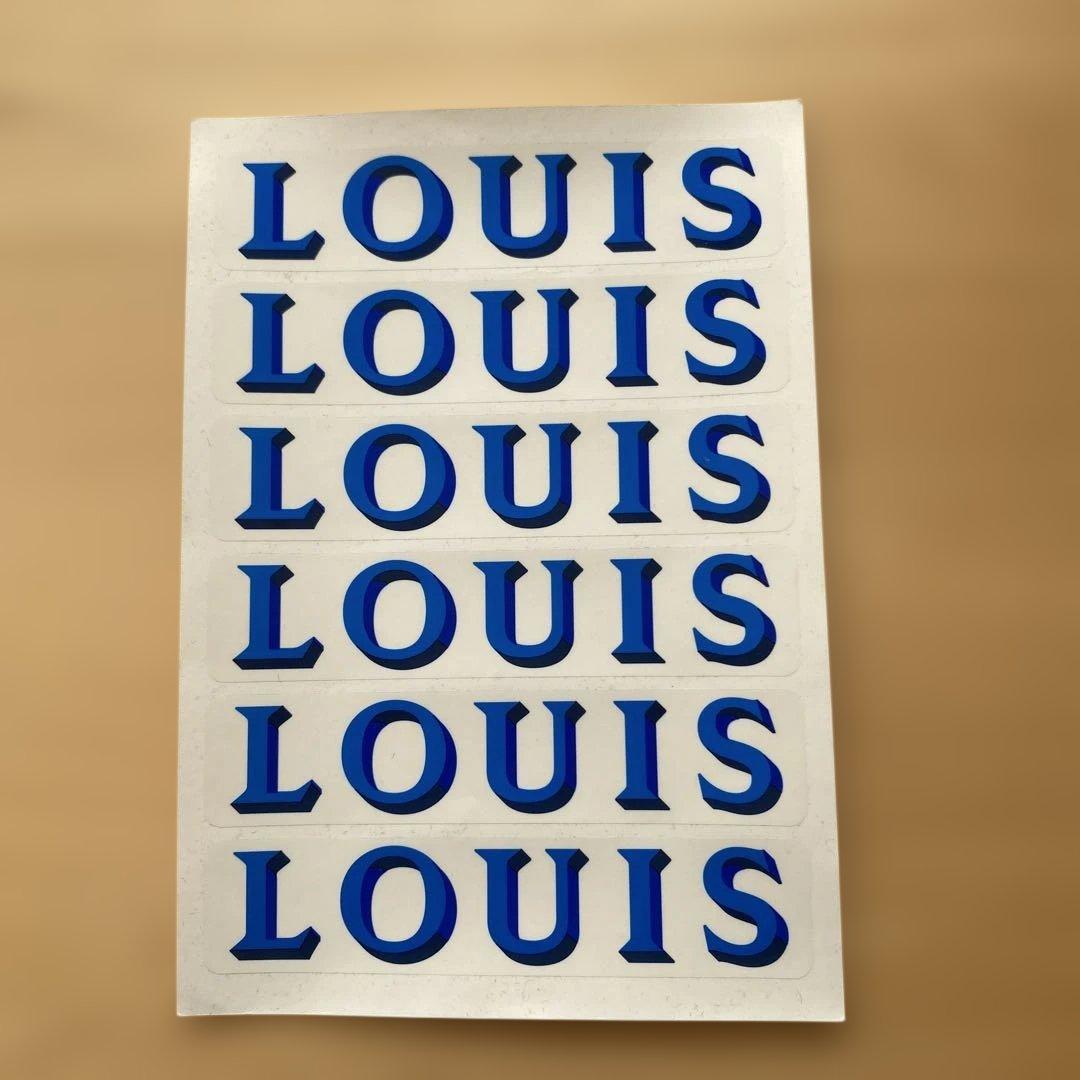 【LOUIS VUITTON】ルイヴィトン　ボックス箱　紙袋　シール　11点