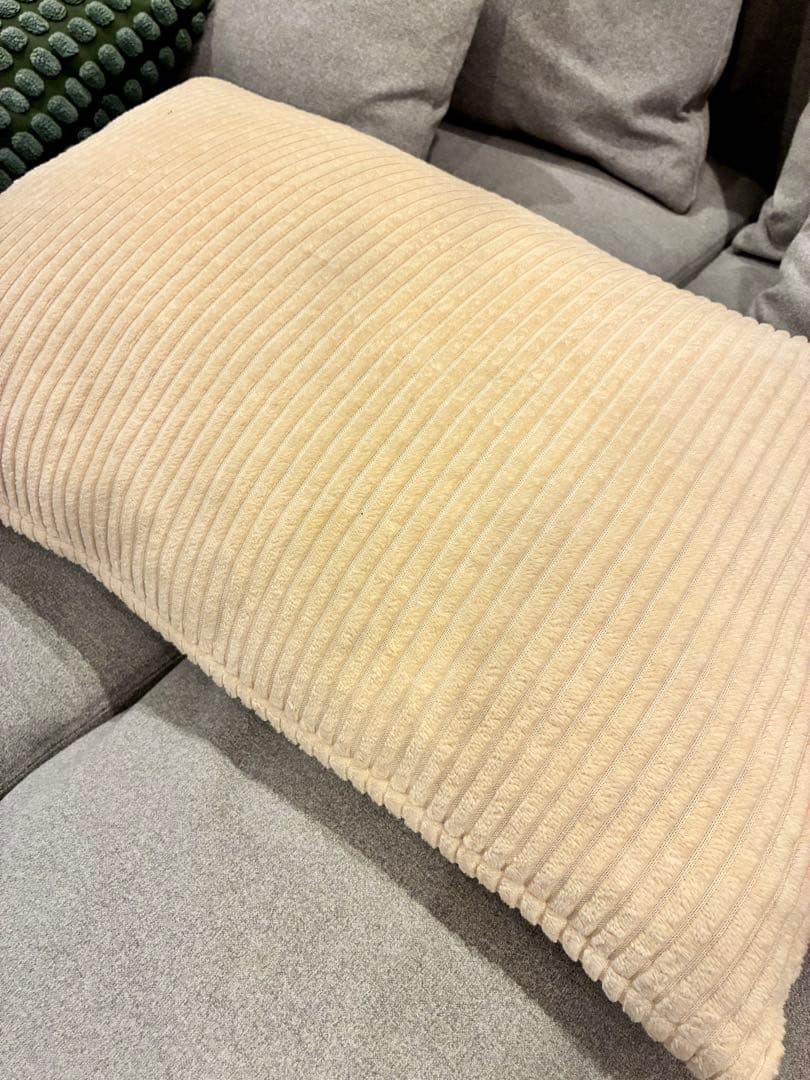 IKEA ソーデルハムン 寝椅子＋アームレスト グレー 木製脚・クッション付き