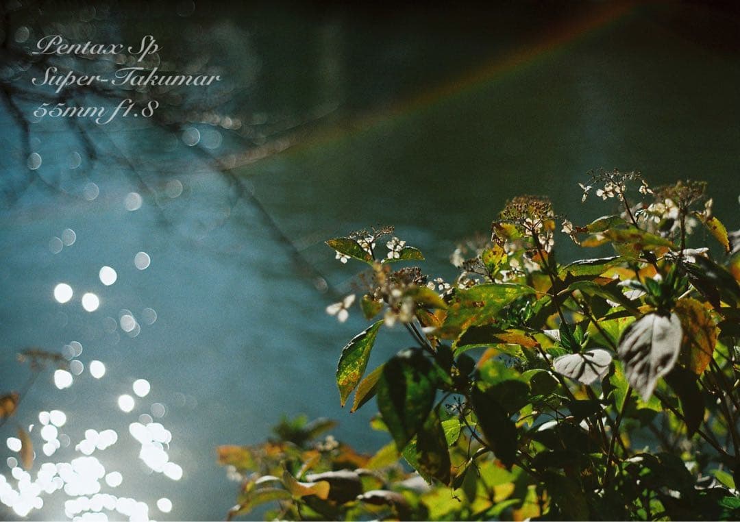 ★初期保証★pentax sp ／s-takumar f1.8★完動品＊美品