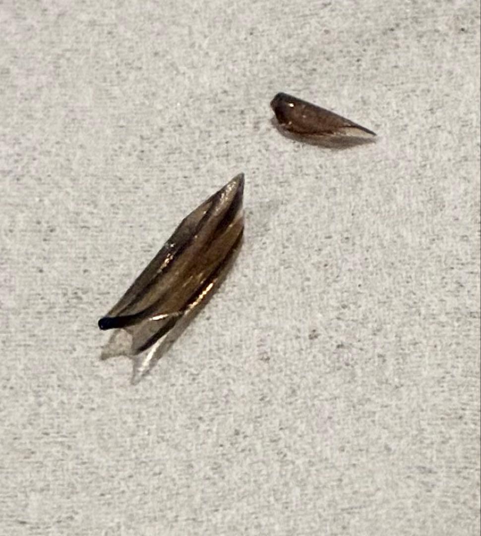 K*様 IG-KTA20 SHARP シャープ プラズマクラスター イオン発生機