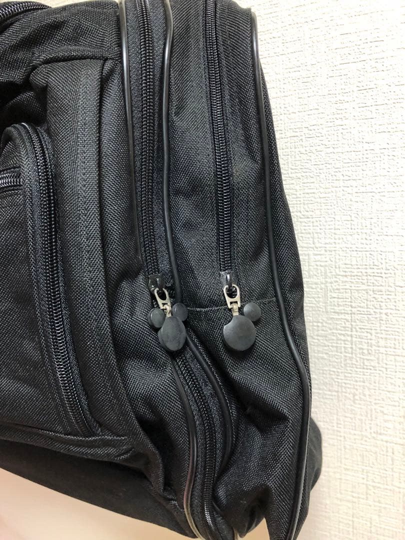 アメリカのディズニーランドで購入 当時50周年目のレアバッグ