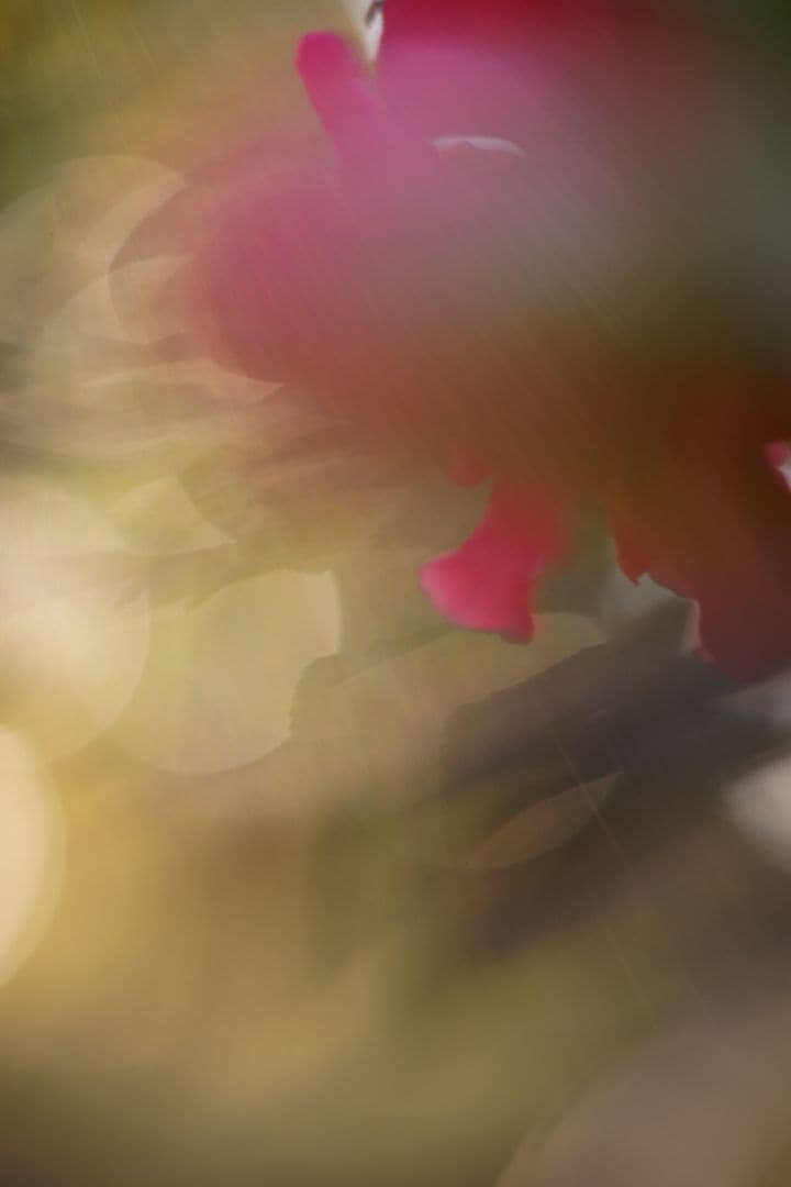 Oreston 50mm f1.8 前期型 M42 おすすめクセ玉オールドレンズ