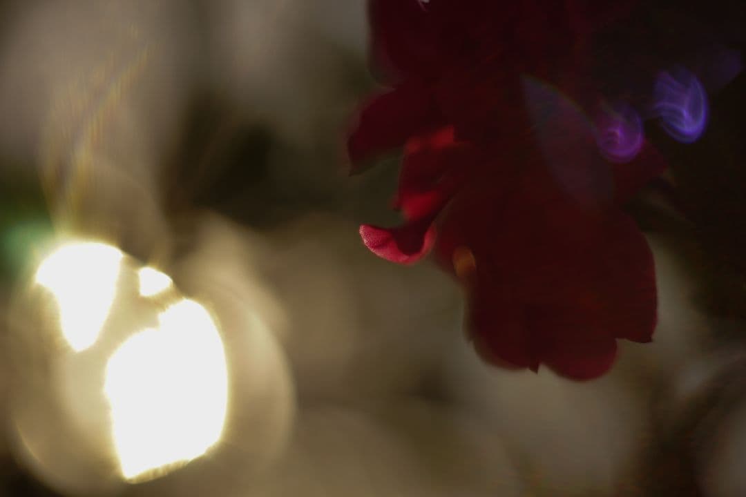 Oreston 50mm f1.8 前期型 M42 おすすめクセ玉オールドレンズ