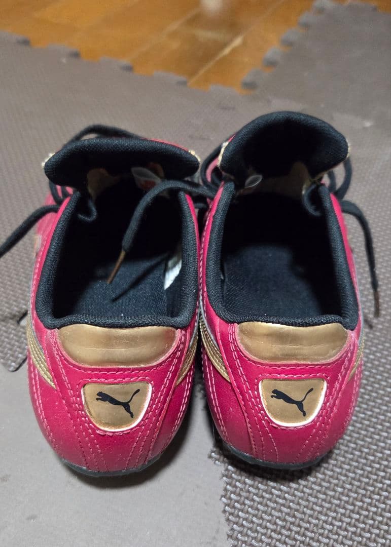 パラメヒコライト