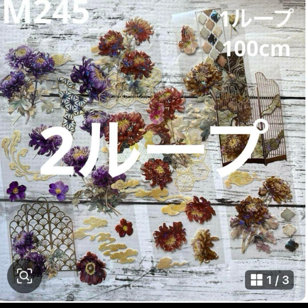 ⑥専用ページ ano様