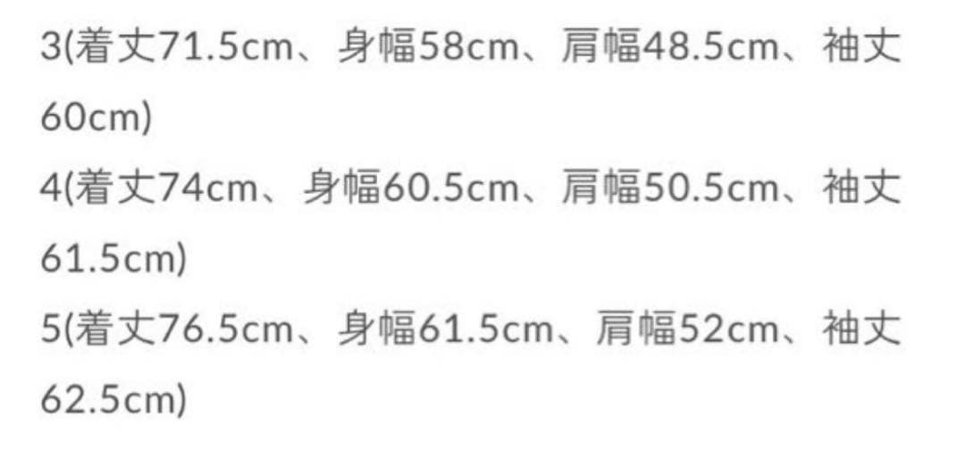 ✳︎美品⭐︎激レア完売商品【AURALEE オーラリー】ナイロンジャケット