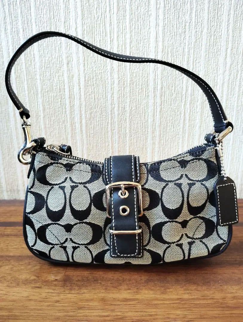 美品　人気　コーチ　シグネチャー　ワンショルダーバッグ　ブラック　保護袋付き