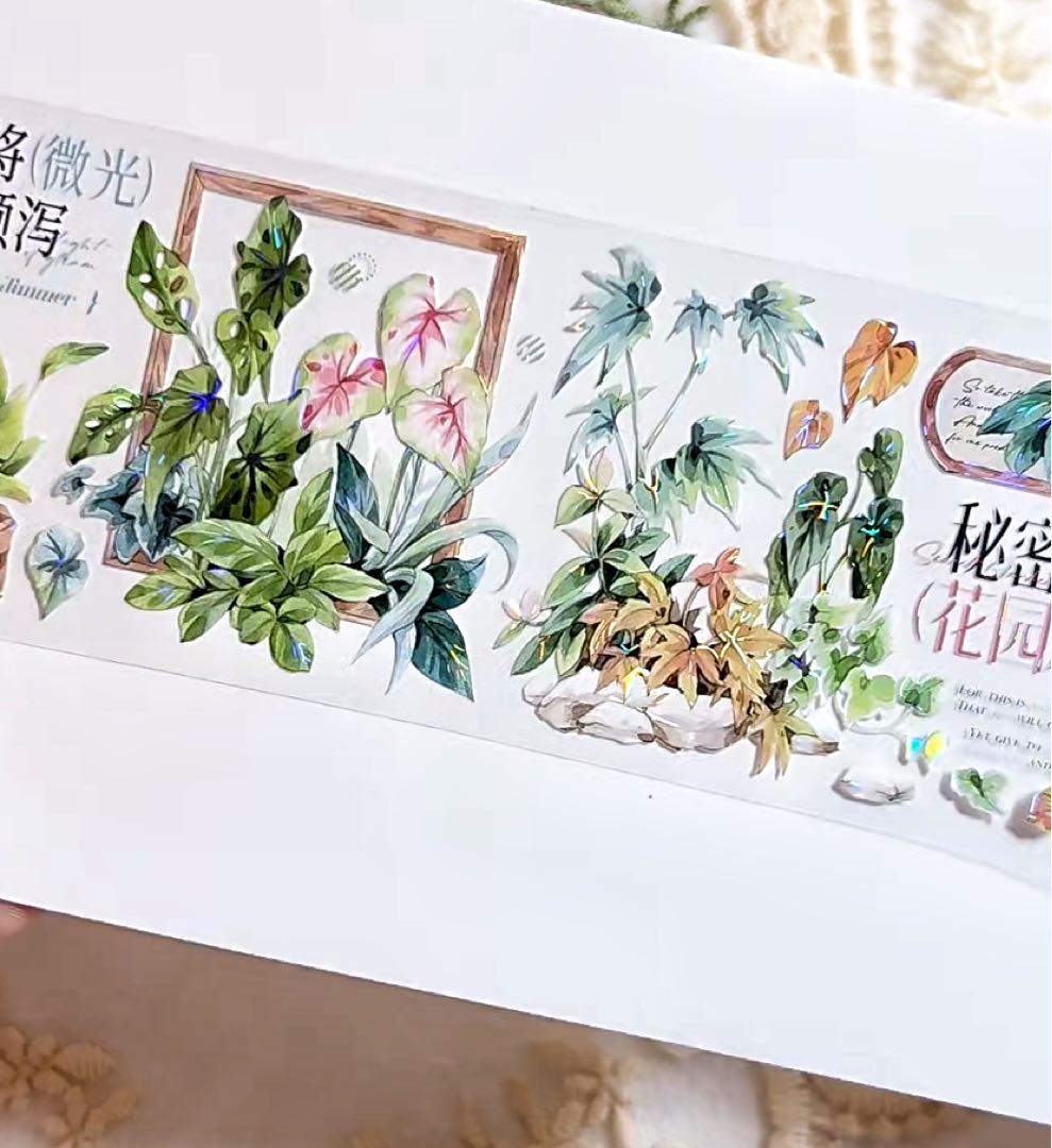 【9467】海外　マステ　3/5/巻　貝殻光マスキングテープ　植物　緑　装飾系