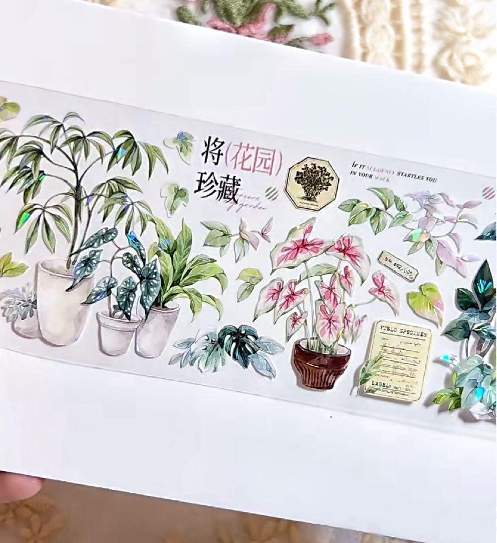 【9467】海外　マステ　3/5/巻　貝殻光マスキングテープ　植物　緑　装飾系