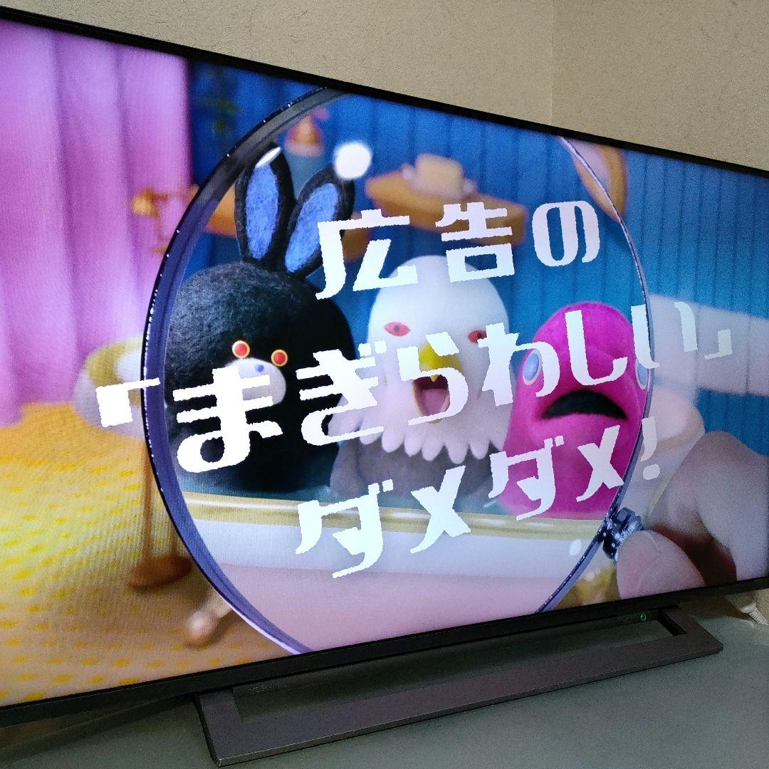 TOSHIBA[2019年製品]43M530X