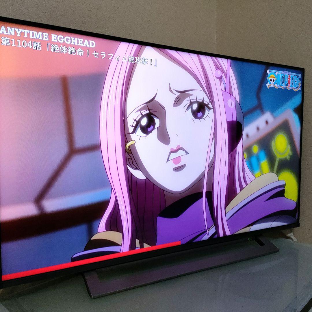 TOSHIBA[2019年製品]43M530X