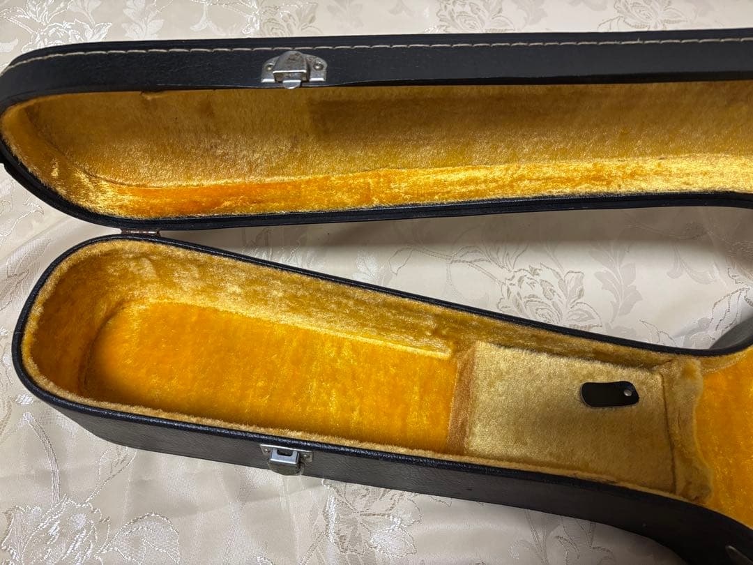 【ハードケース付き‼️】YAMAHA FG-202 アコースティックギター