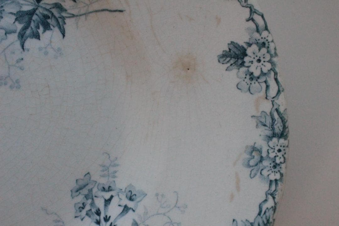 フランスアンティーク/ショワジールロア・バラのオーバルプレート