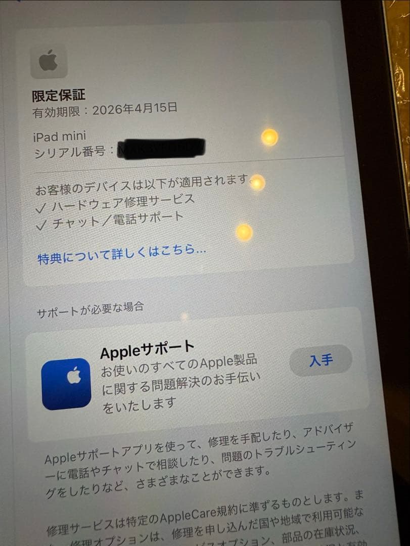 iPad本体 Apple iPad mini (A17 Pro) 128GB