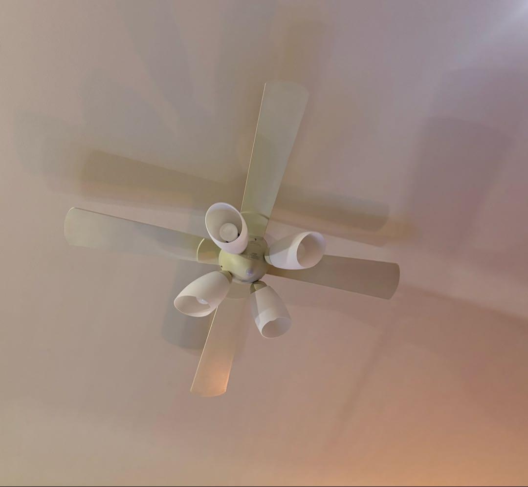 コイズミ　シーリングファン