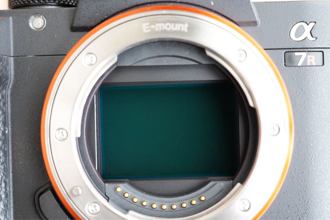 SONY α7RIII ILCE-7RM3 シャッター29414回