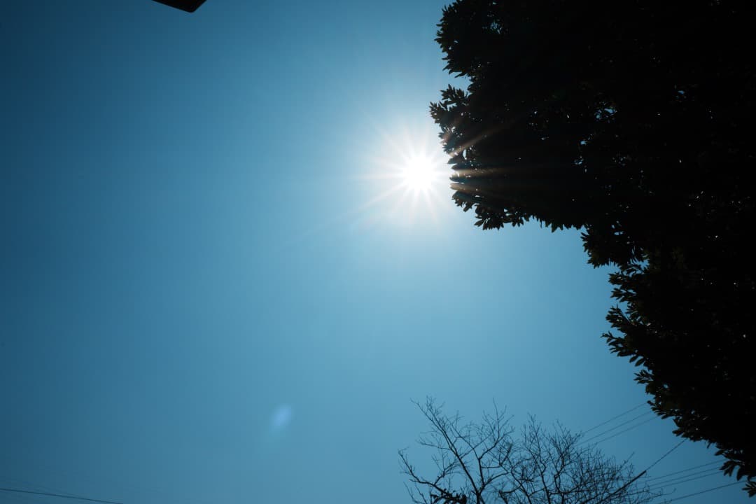 SEL16F28 + VCL-ECU1 超広角レンズセット α6000対応