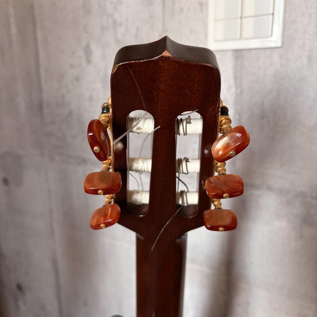 タカミネ　ガッドエレアコギター　PT-115N ST