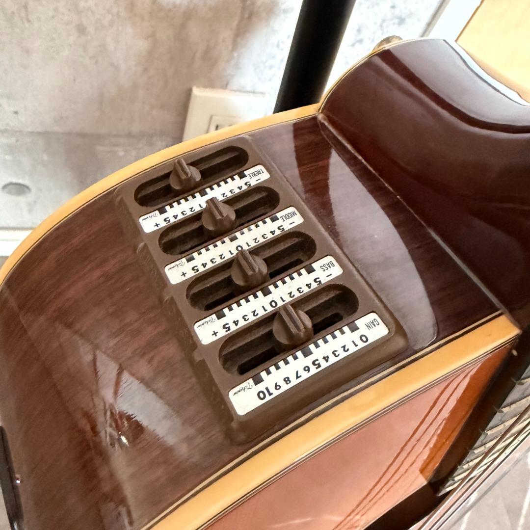 タカミネ　ガッドエレアコギター　PT-115N ST